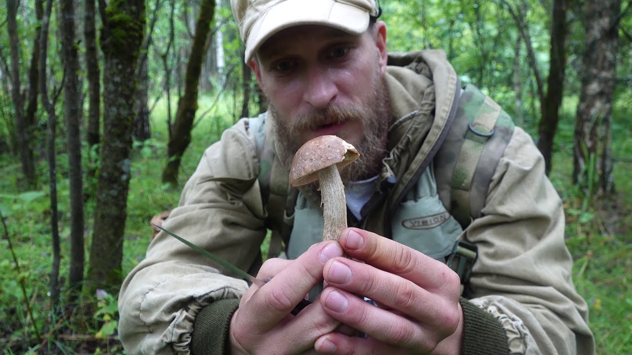 Поход За Грибами с Жориком! Дары Матушки Природы.4К