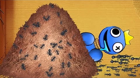 ANTHILL Animals  vs the Buddy vs rainbow friends | Kick The Buddy