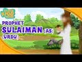 Prophet Stories In Urdu Prophet Sulaiman AS Story Quran Stories In Urdu Urdu Cartoons
