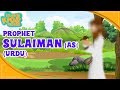 Prophet stories in urdu  prophet sulaiman as story  quran stories in urdu  urdu cartoons