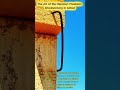 Mastering the Structural Staple: Timber Framing Secrets