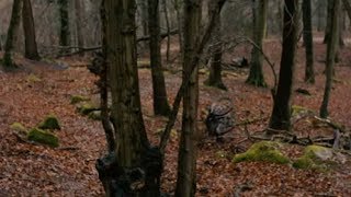 Jumping A Mountain Bike Can Hurt And This Guy Knows About It