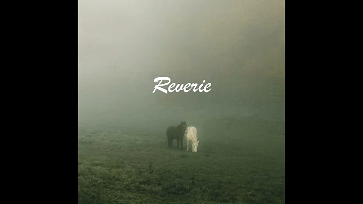 Luming Yang - Reverie