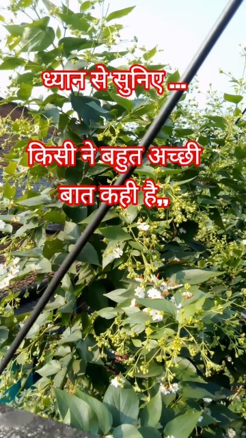 😘 happy life my dear friends 😘 - ShareChat