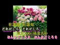 芸道一代    美空ひばり【高音質  全音標  譯文 】