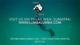 Manta Rays on Pulau Weh, Sumatra, Indonesia - Lumba Lumba Diving Centre