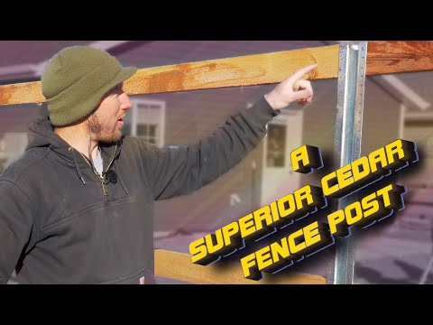 Video: Heiße Themen: Cedar Fence Posts