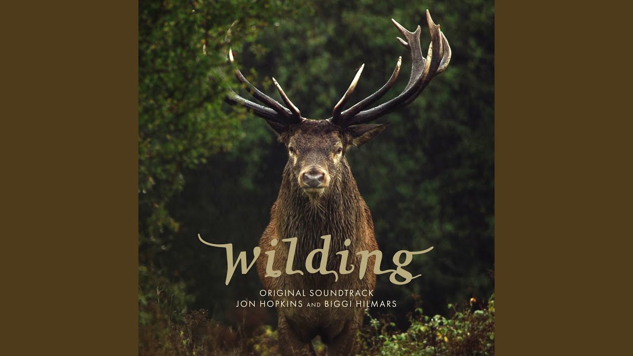アート・デザイン・音楽 Mark Borthwick Duran Lantink / Wildness Wilding Theme - YouTube