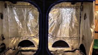 Gavita 1000 Moved With Lightrail Light Mover Game Changer