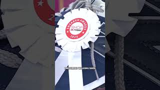 Sepatu kets pemenang penghargaan ini sangat cocok untuk mencapai tujuan berjalan kaki Anda.