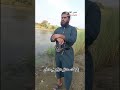 ياوقت حدتني ظروفي على قصاي