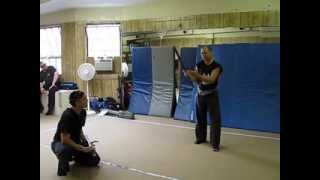 Bujinkan Peter Crocoll Kentai Ichijo Seminar New York Dojo