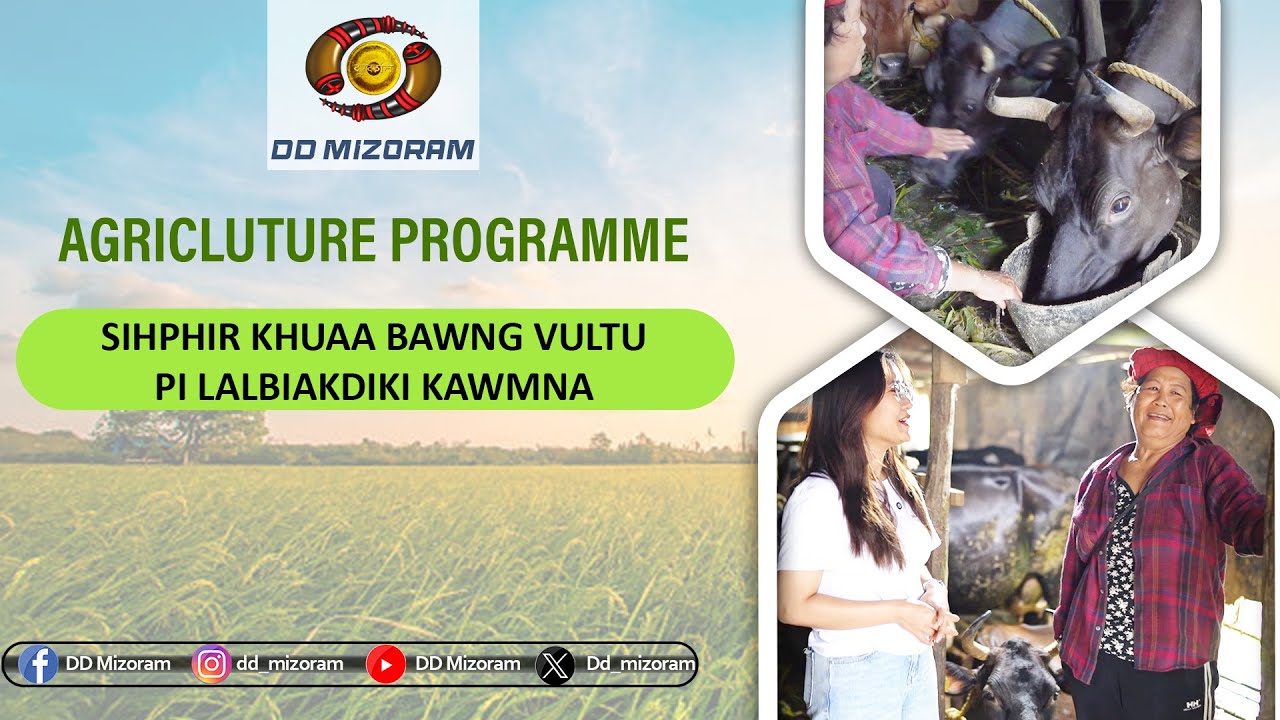 Agriculture Prog - Sihphir khuaa bawng vulhtu Pi Lalbiakdiki kawmna
