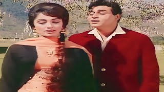 Ae Phoolon Ki Rani Baharon Ki Malika | 4k Video | Arzoo | Sadhana, Rajendra Kumar, Mohammed Rafi