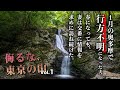 【侮るな、東京の山】1月の奥多摩で行方不明になった夫。春になっても、妻は交番に情報を求めて訪ね続けた【山岳遭難】