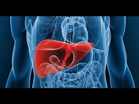 Como Desintoxicar o Figado (Procedimento para Limpeza de Fígado e Vesícula)