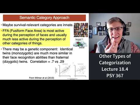 367 Lecture 18.4 Other Approaches To Categorization