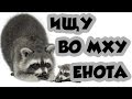 ИЩУ ВО МХУ ЕНОТА - ПРИКОЛЫ И БАЯНЫ