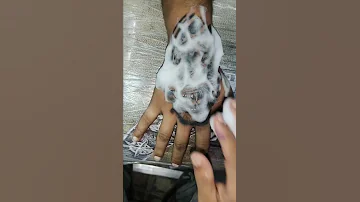 Hand Tiger Tattoo Like Comments Shere Subscribe Views Tattooart Jaimahakal 