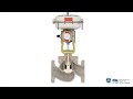 Flowserve Valtek® FlowTop™ GS General Service Control Valve