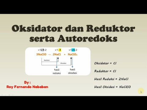 Oksidator dan Reduktor serta Autoredoks