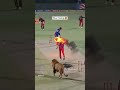 #cricket #ipl #lifeisbutadream #ihavethisthingwithplants #whowillbemylifepartnerta #msdhoni