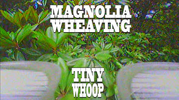 Magnolia Wheaving - TINY WHOOP - Team BIG WHOOP - Inductrix FPV