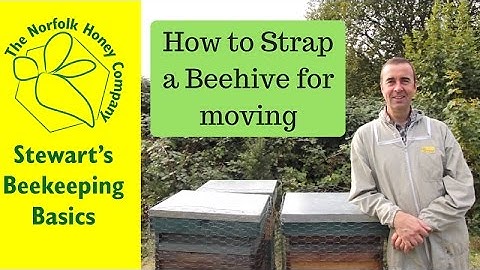 How To Strap a Hive for Moving - #Beekeeping Basics - The Norfolk Honey Co.