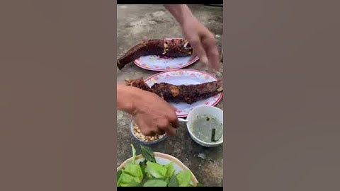 Cá lóc nướng mở hàng món nầy nhậu là hết sẩy