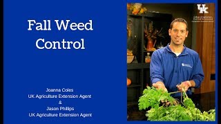 Fall Weed Control
