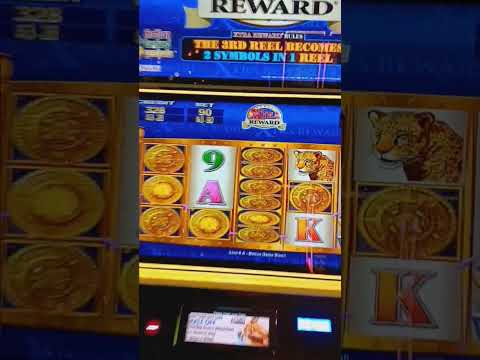 Las Vegas SLOTS - Palace Station Hotel Casino MO MUMMY LONG SESSION
