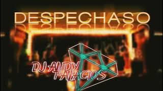 DESPECHASO (Dj Andy Palacios) Posada - Dario -  El Andariego - Jessi - Laureano Y Fernando Burbano