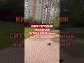 КИЕВ УКРАИНА! ТЕКУЩАЯ СИТУАЦИЯ! #киев #обзор #вукраине #київ #еда #україна #украина #рецепт