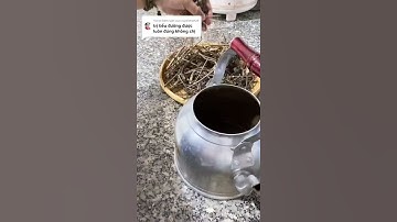 Cộng dụng cây đuôi chuột chữa tiểu đường #shorts #thanhdongvlog