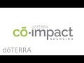 DoTerra - Vetiver co-impacto.