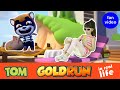 Talking Tom Gold Run in Real Life 2| Catch the Raccoon| Kids Skit