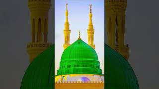 masha Allah #Quran paak ki tilwat aayat (12 _13