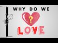 The Truth About Love (NOT WHAT YOU THINK)