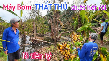 ĐỒNG THÁP MÁY BƠM BẤT LỰC NƯỚC LŨ LÊN THẦN TỐC NGẬP LỤT KHỦNG KHIẾP SẦU RIÊNG, MÍT THÁI CH.ẾT HẾT