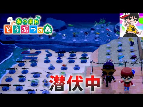 あつ森】もけいコンプリートした島で潜伏中やってみた 島