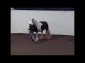 Gypsy Elite Misty & McKenzie In Halter at State Fair