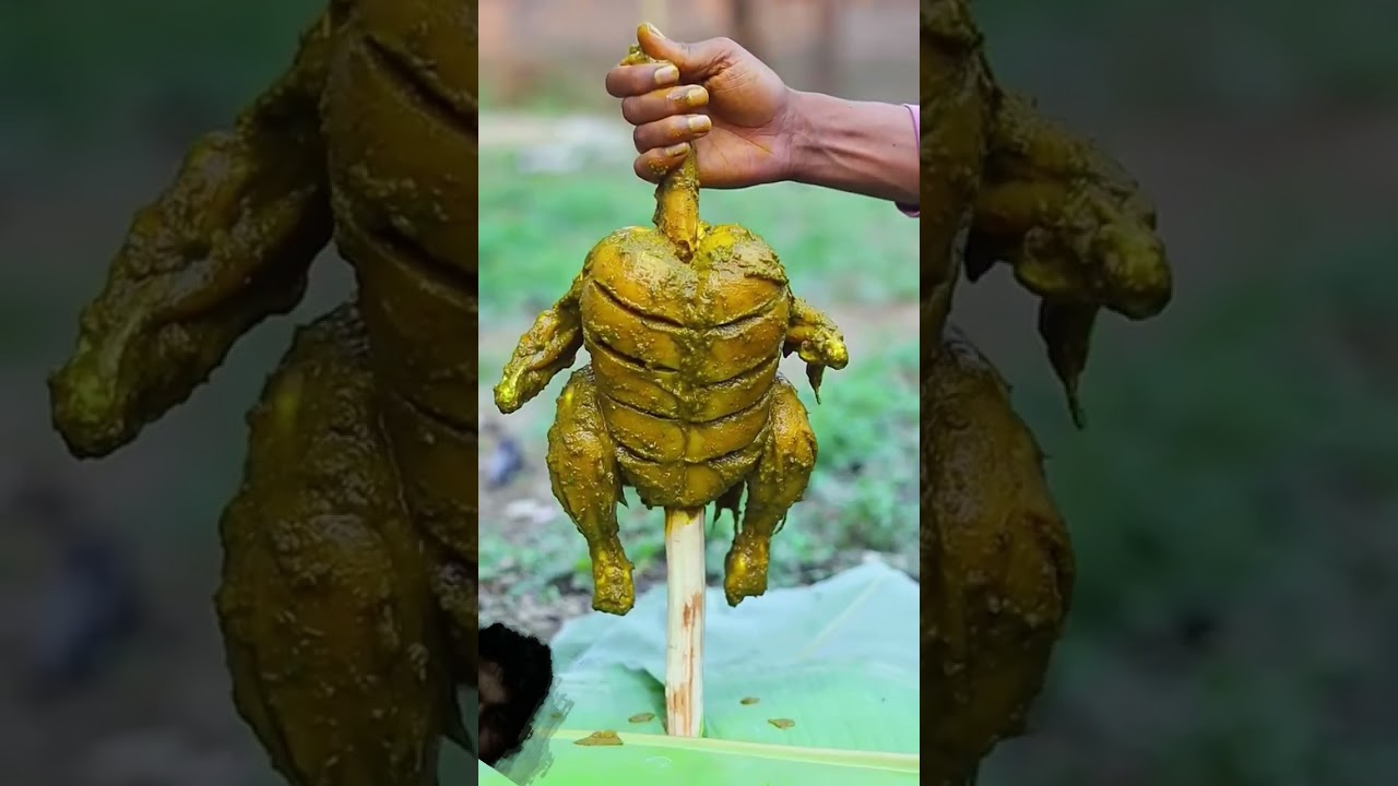 chicken 🐔 dish 😋🤤... 