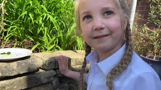 Aurelia Feeds The Tadpoles