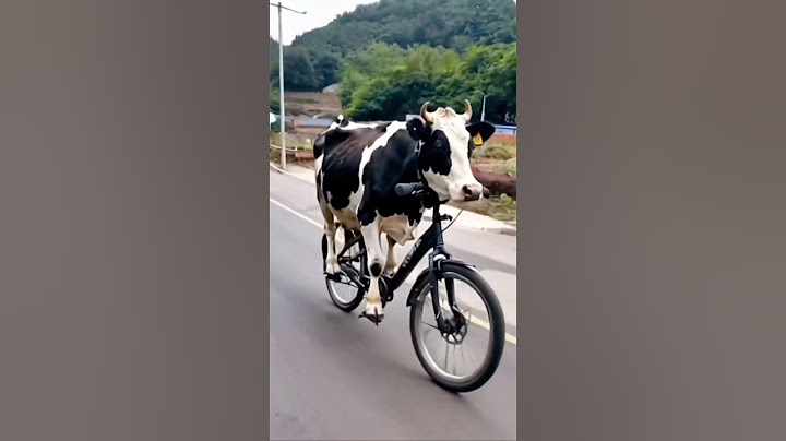 Cow Ne Cycle Chaliye 😱 #shorts #funny #cow