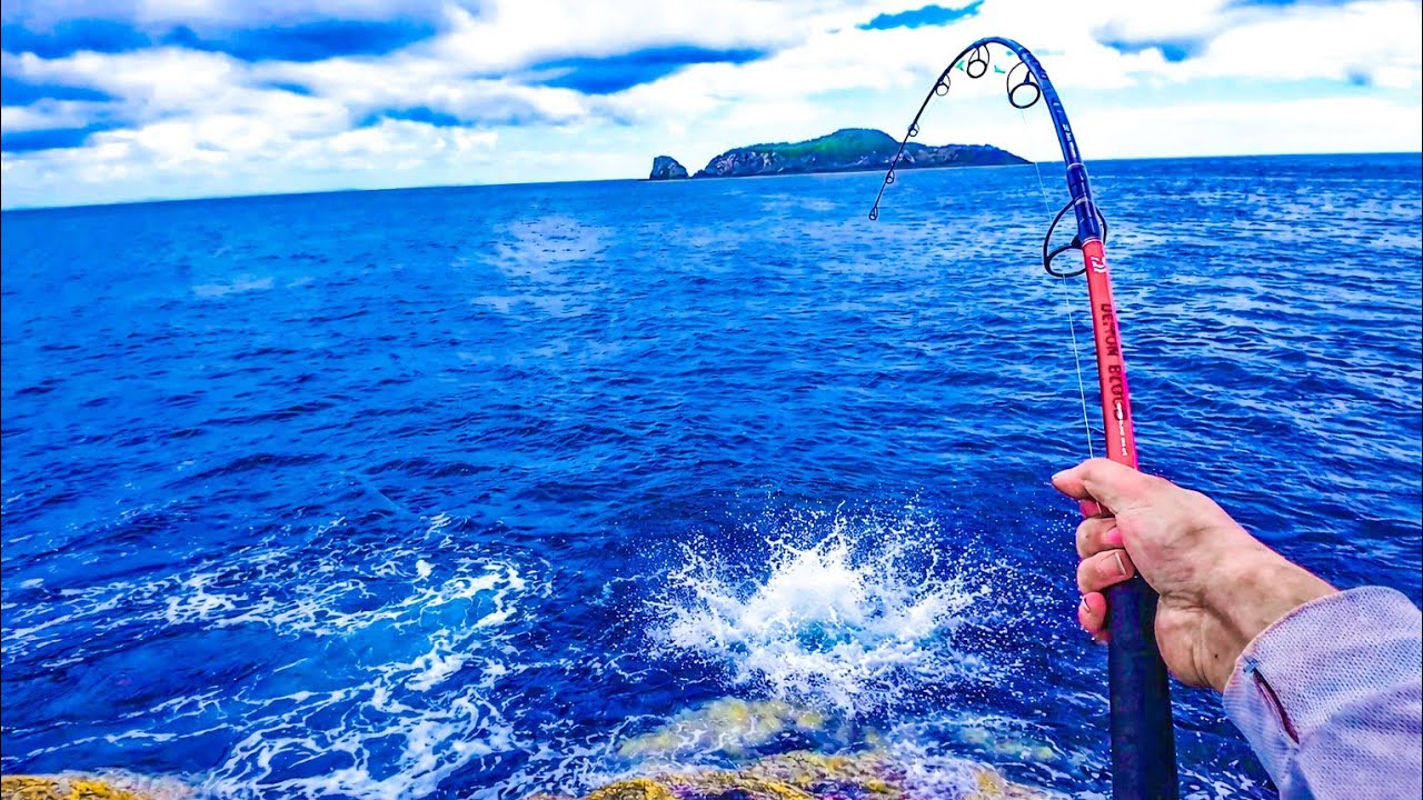Заброс приманок при ловле крупной королевской макрели.