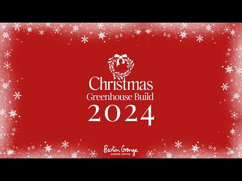 Barton Grange Greenhouse Christmas Build 2024 - video from Bartongrange
