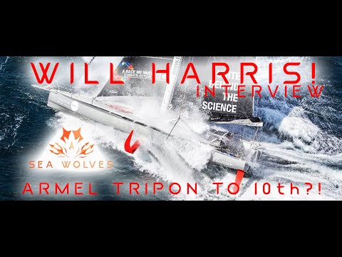 Video: Vendée Globe: Will Harris On The Scenario For The Final Sprint