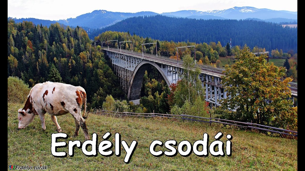 Hargita megyében, Lóvész közelében láthatjuk Erdély legnagyobb völgyhídját, a Karakó-völgyhídat.