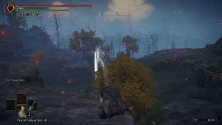 ELDEN RING Testing Every Weapon