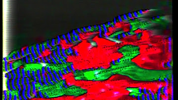 Steven Rutter - The Life Giver - From Me To You FS009